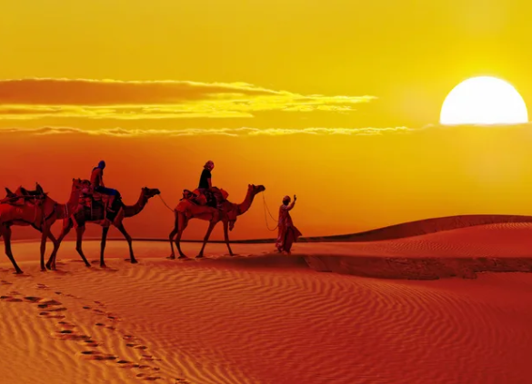 camel safari in jaisalmer